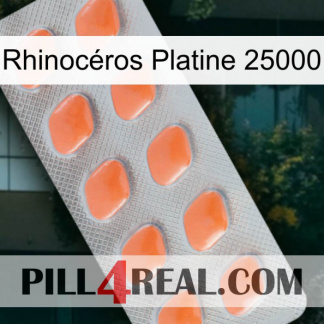 Rhinocéros Platine 25000 26